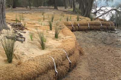 coir eosion logs